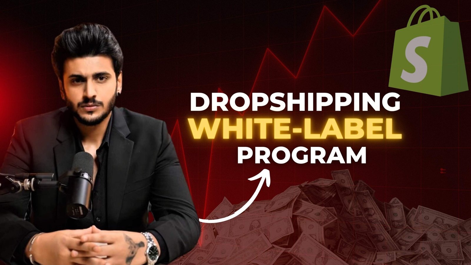 Shopify Store Creation