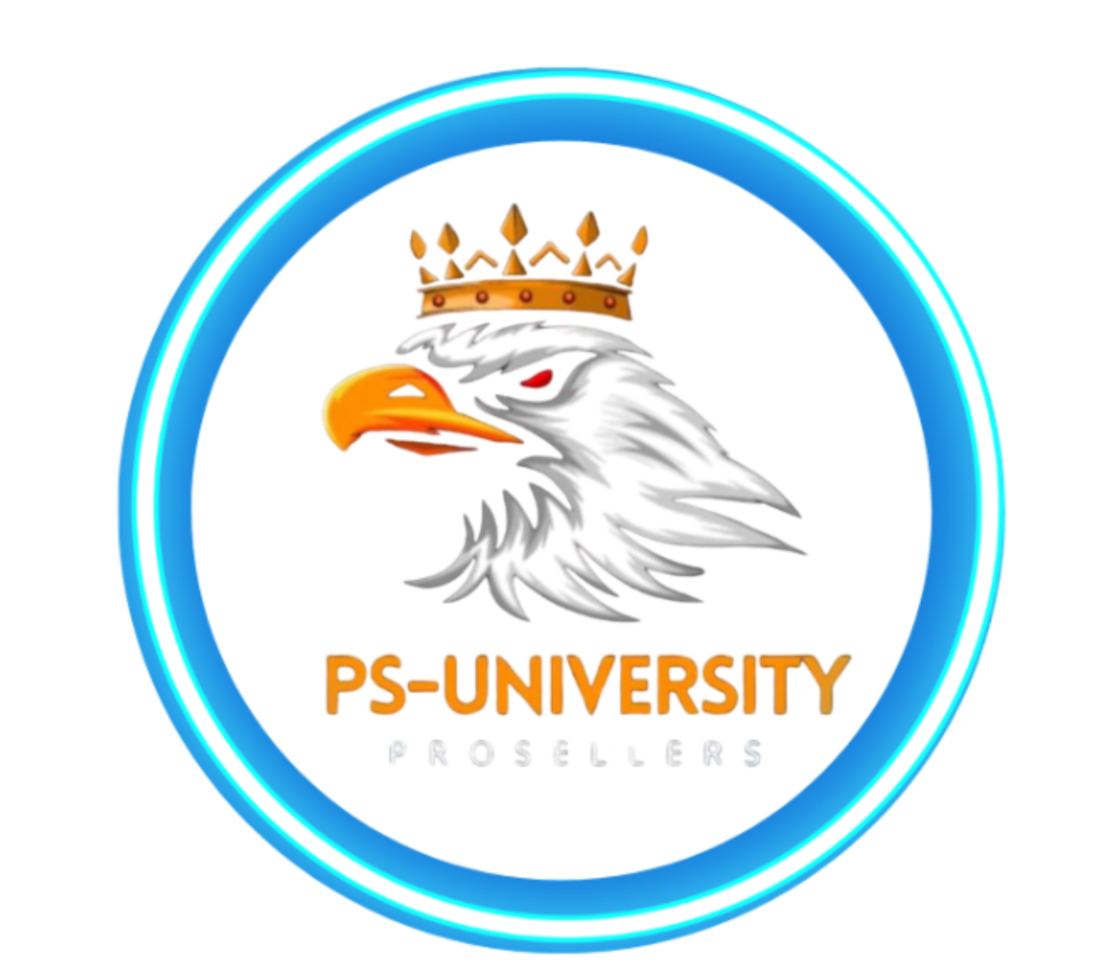 proselleruniversity.com